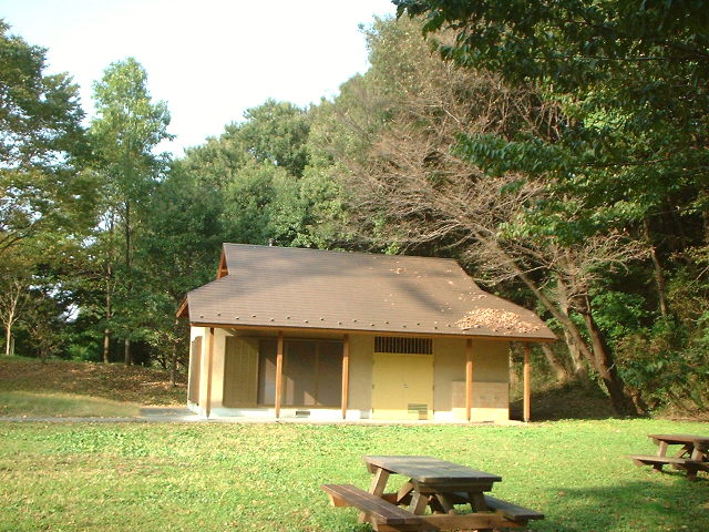 d0091754_22191873.jpg