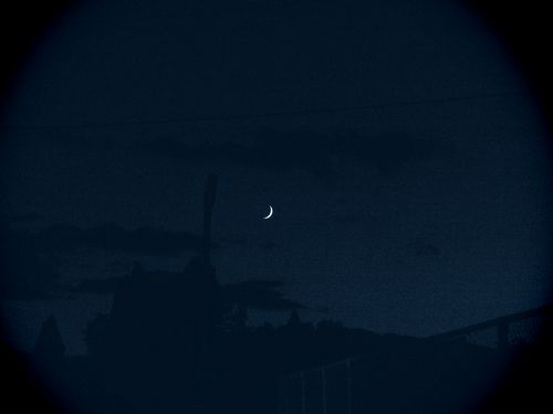 b0015260_811011.jpg