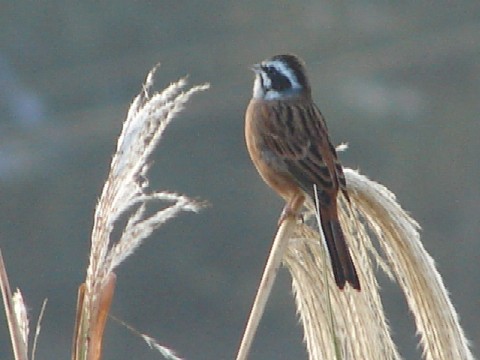 b0061261_22442325.jpg