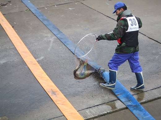 c0048667_18481786.jpg