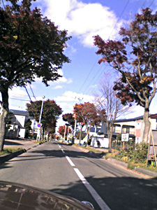 a0050669_1413919.jpg