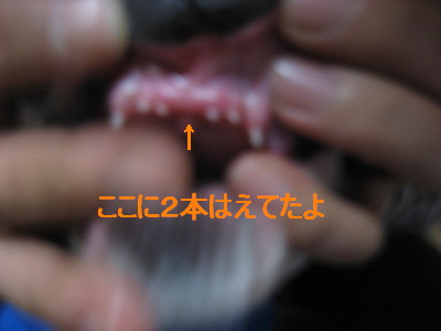 c0092787_1039229.jpg