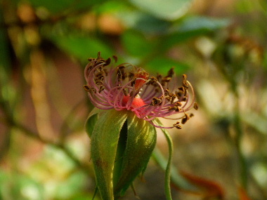 f0041606_20101375.jpg