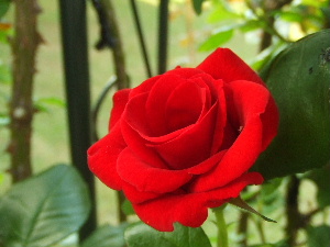 f0041606_203476.jpg