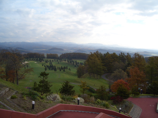 d0050007_2034810.jpg