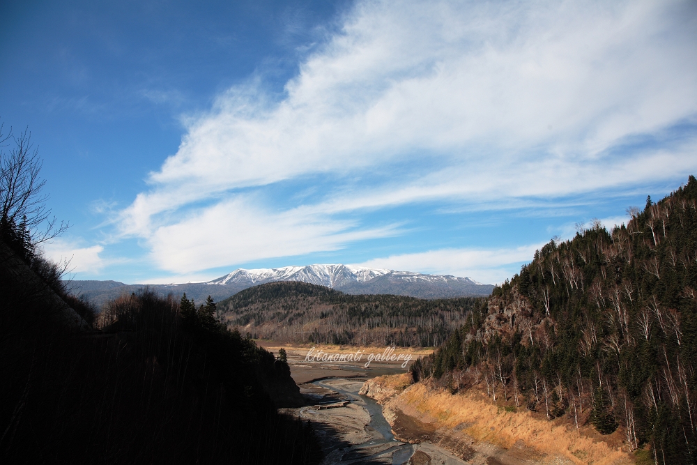 c0073613_23191987.jpg