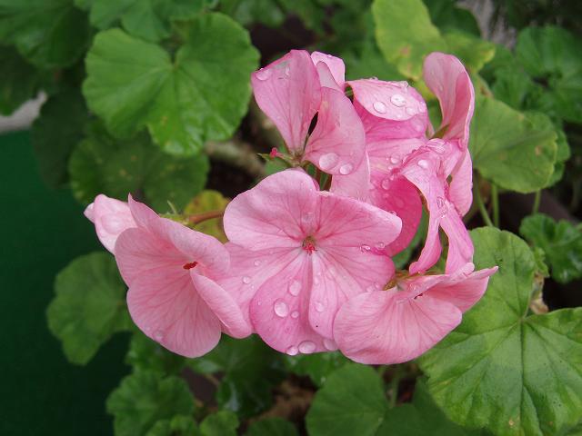 c0086014_21565519.jpg