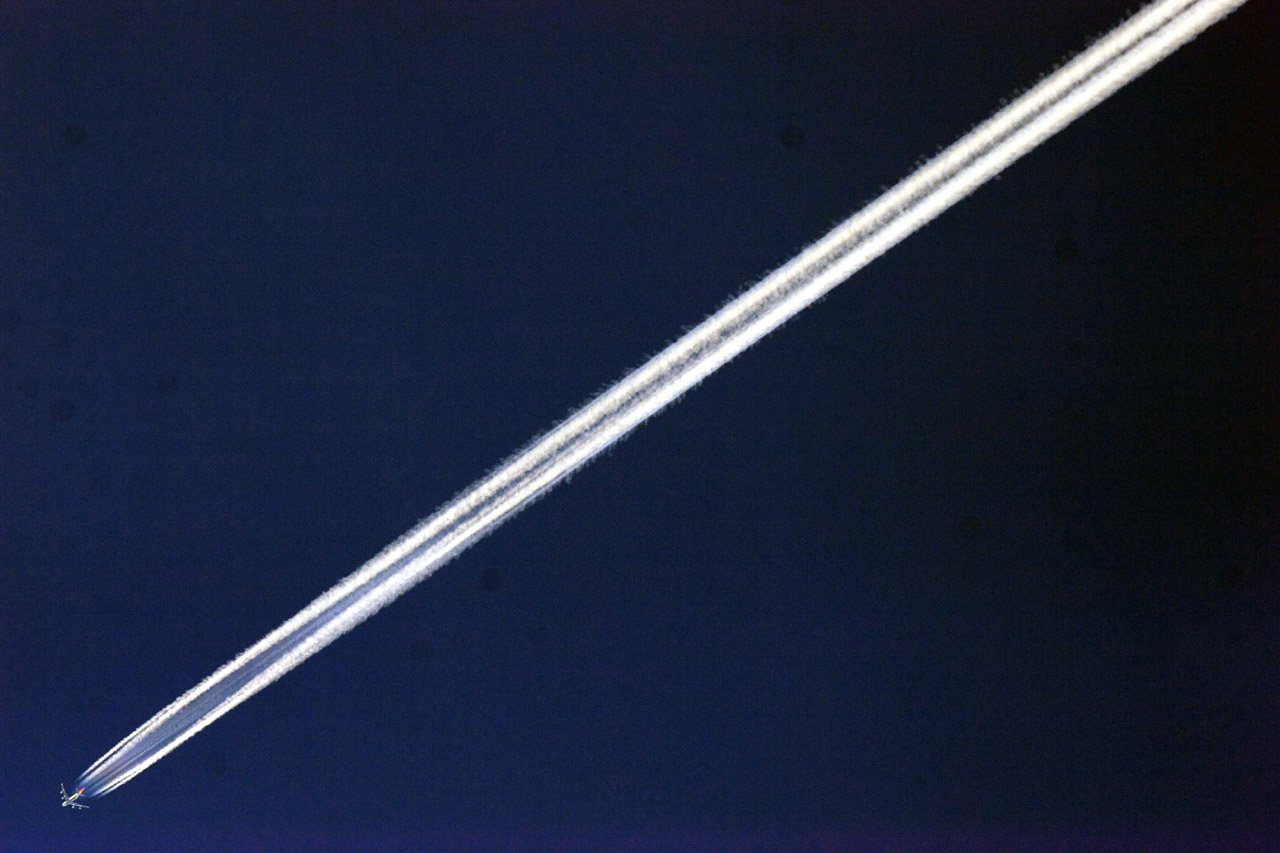 d0085715_082549.jpg