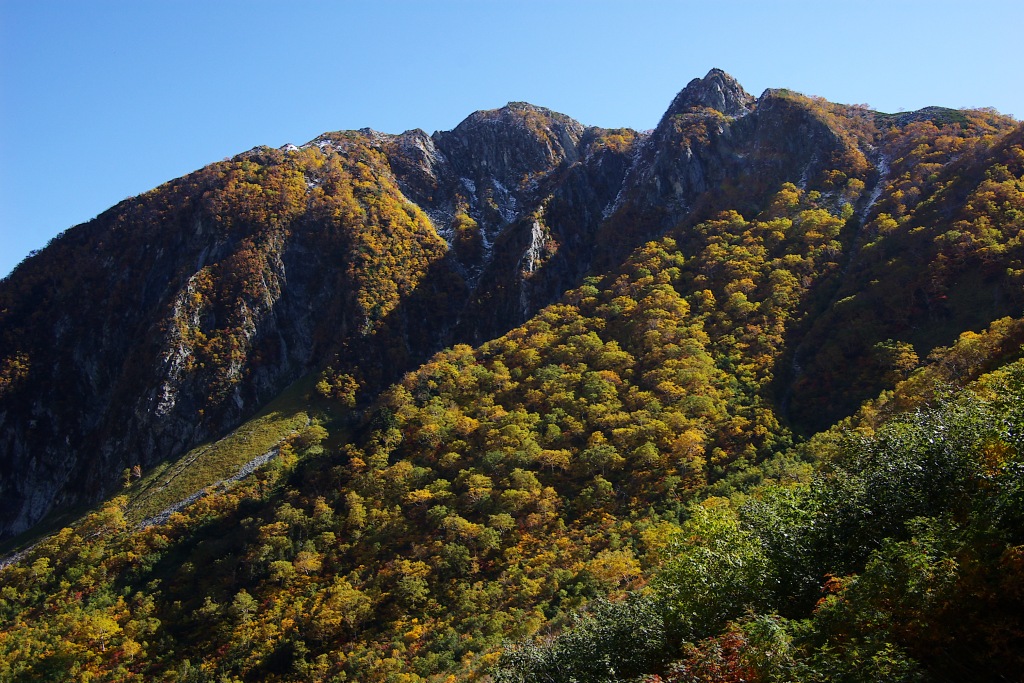 b0062024_19432979.jpg