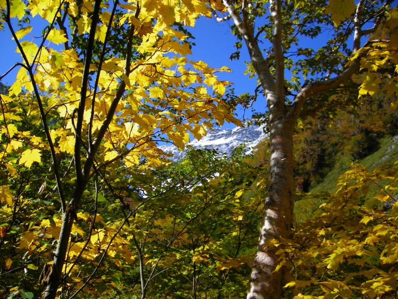 b0062024_1951447.jpg