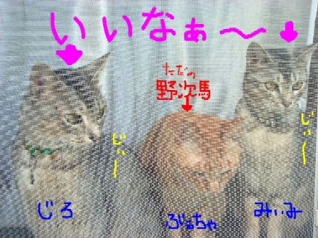 d0081025_20351972.jpg