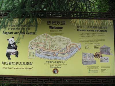 a0049226_0323521.jpg