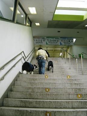 b0085331_23513154.jpg