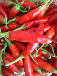 b0082834_9381055.jpg