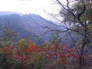 a0048040_17452643.jpg