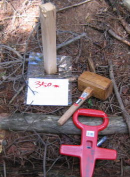 e0049740_20115160.jpg