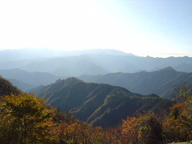 c0016642_1657212.jpg
