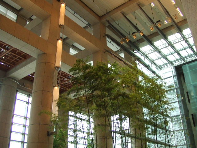 c0071545_18151165.jpg