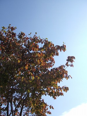 f0068649_2253564.jpg