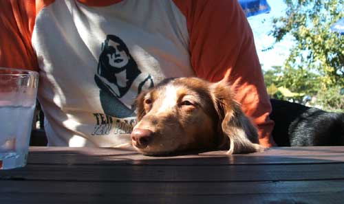 c0019050_16524327.jpg