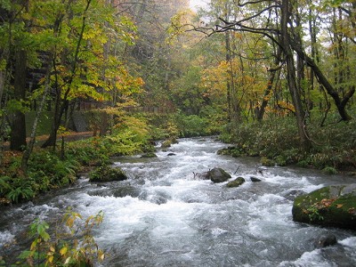 d0031853_1116492.jpg