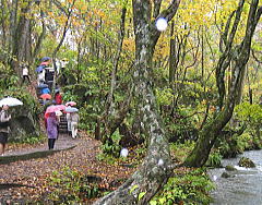 d0031853_11165426.jpg