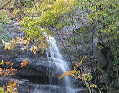 d0031853_1118919.jpg