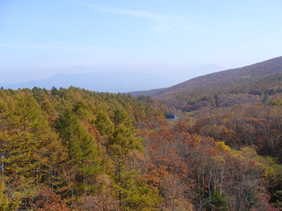 b0045357_8193021.jpg