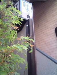 e0016164_942138.jpg