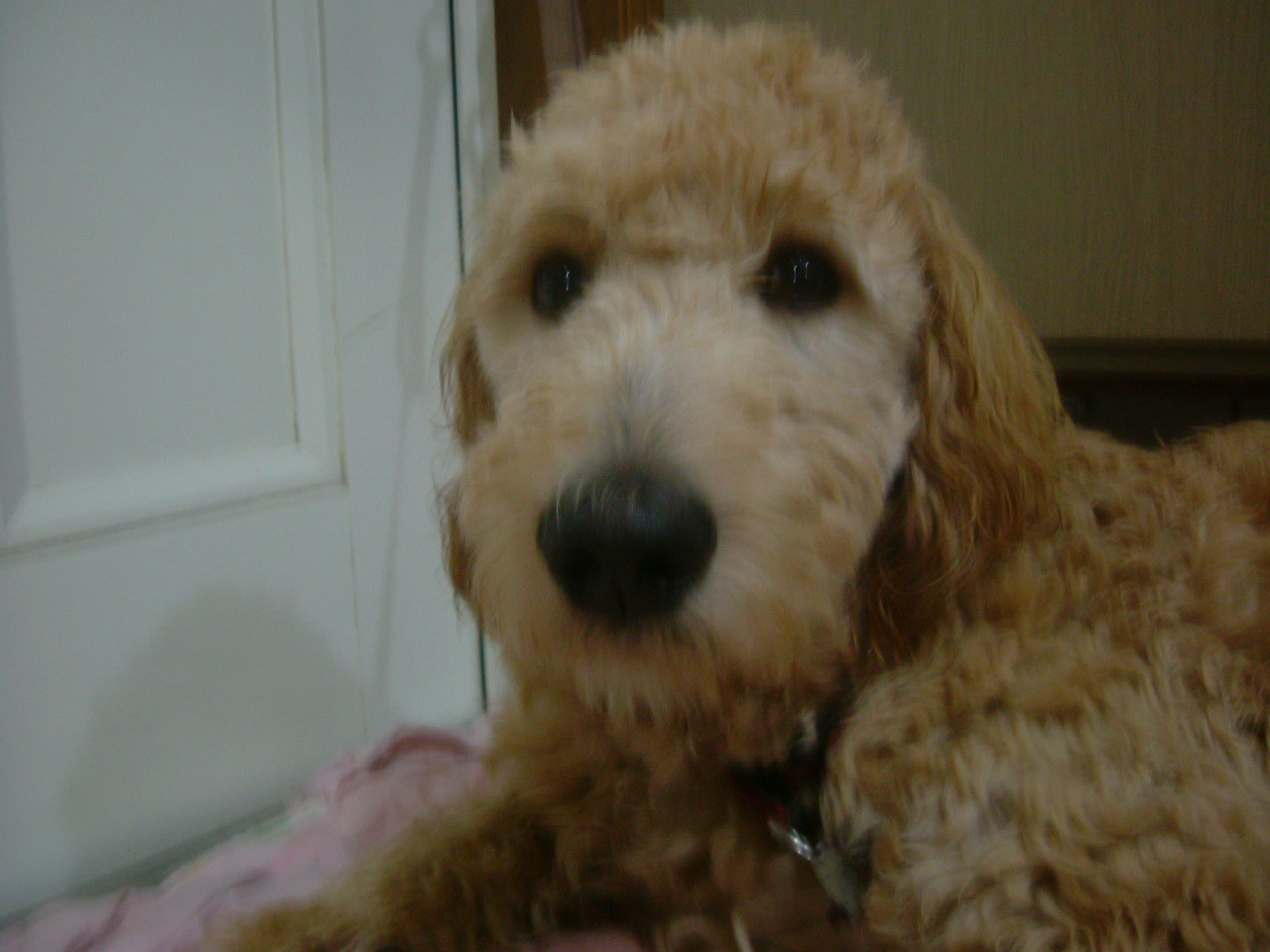c0082567_8574680.jpg
