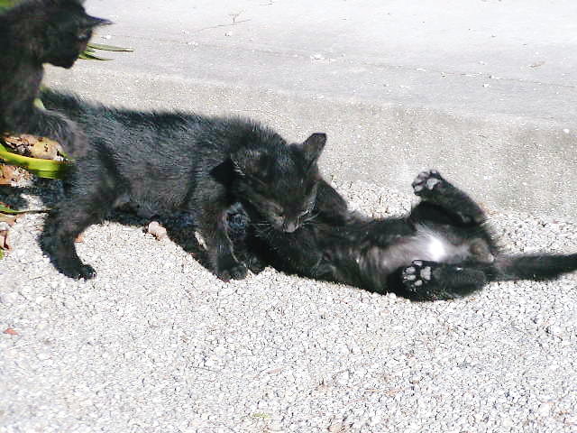 b0078370_23124396.jpg