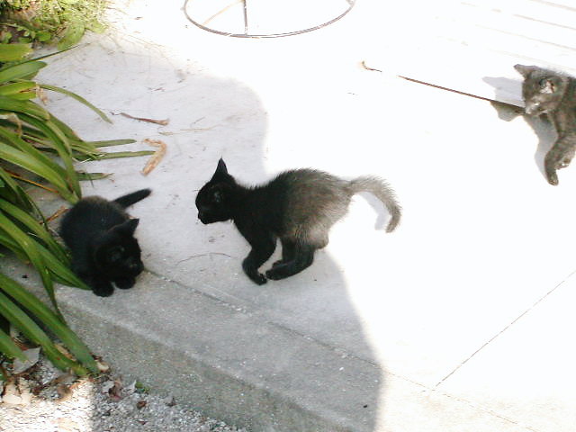 b0078370_231305.jpg
