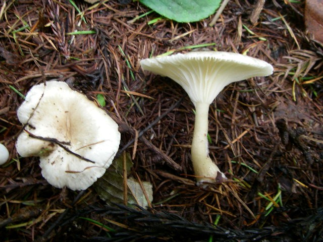 a0066081_6113558.jpg