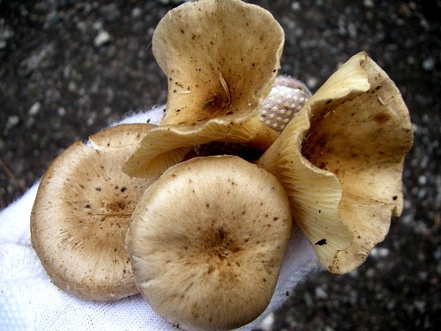 a0066081_6123974.jpg