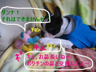 c0092787_111028.jpg