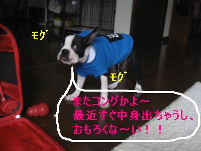 c0092787_1193724.jpg