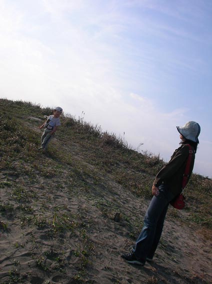 e0064400_2273770.jpg
