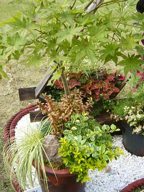 f0065604_08687.jpg