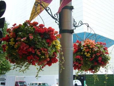 f0065604_095134.jpg