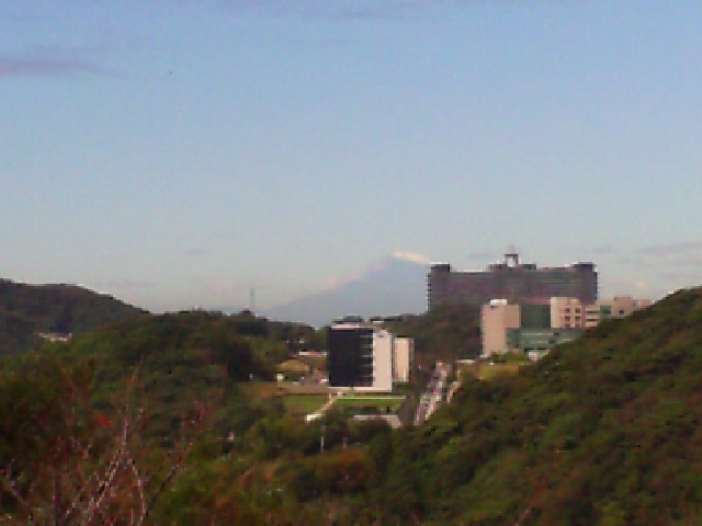a0013905_273016.jpg