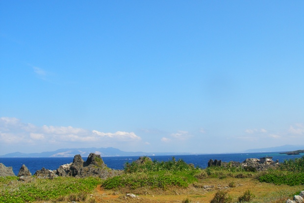 a0082706_22542430.jpg