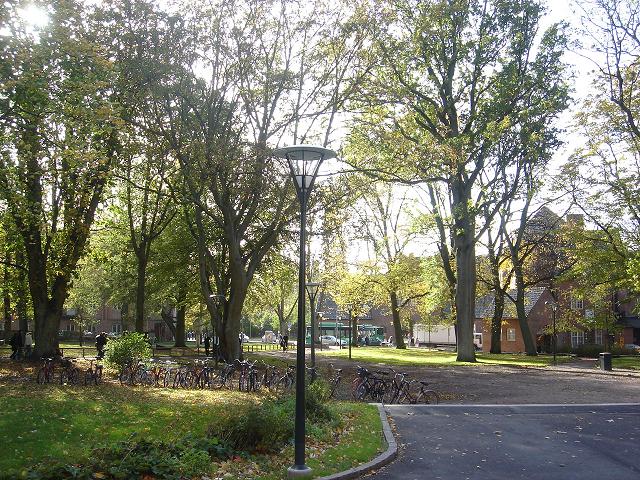 c0087706_558529.jpg