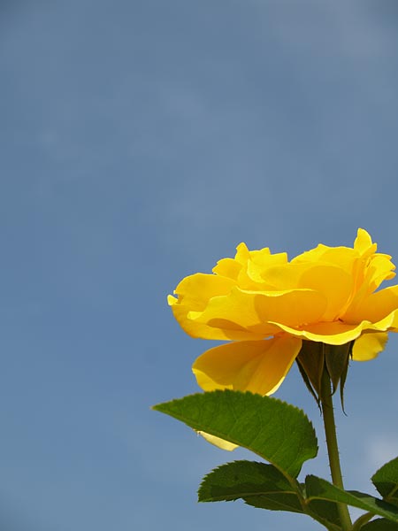 a0041508_2242349.jpg