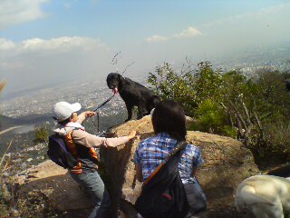 f0090009_11492688.jpg