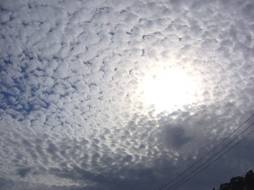 a0066510_1191734.jpg