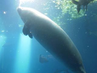 f0040310_1032467.jpg