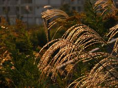 b0053414_2357423.jpg