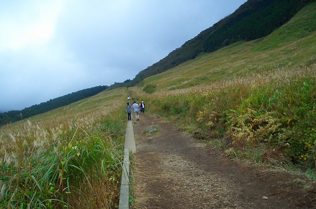 d0094416_09018.jpg