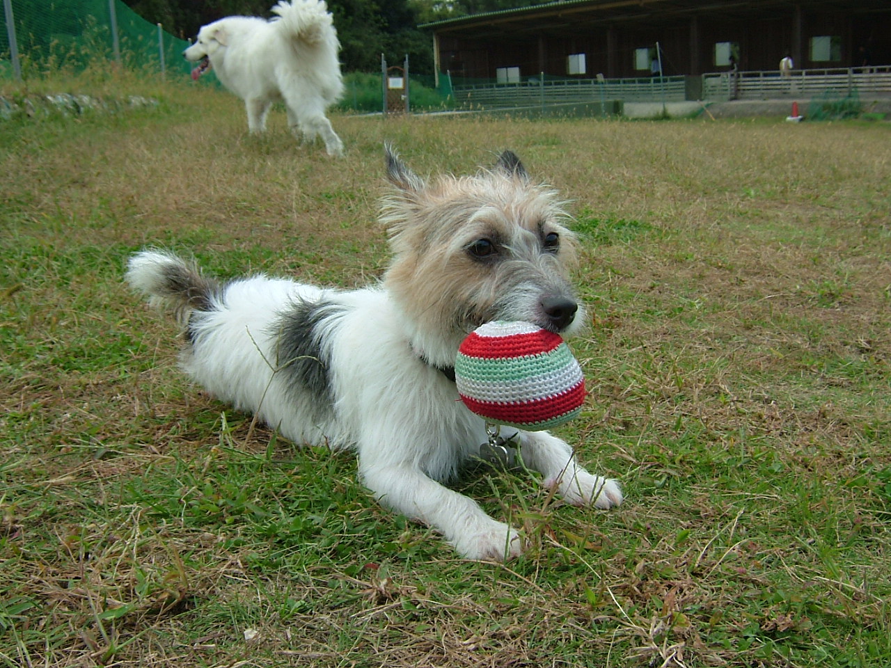 a0089120_18502385.jpg