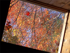 b0034422_9392462.jpg